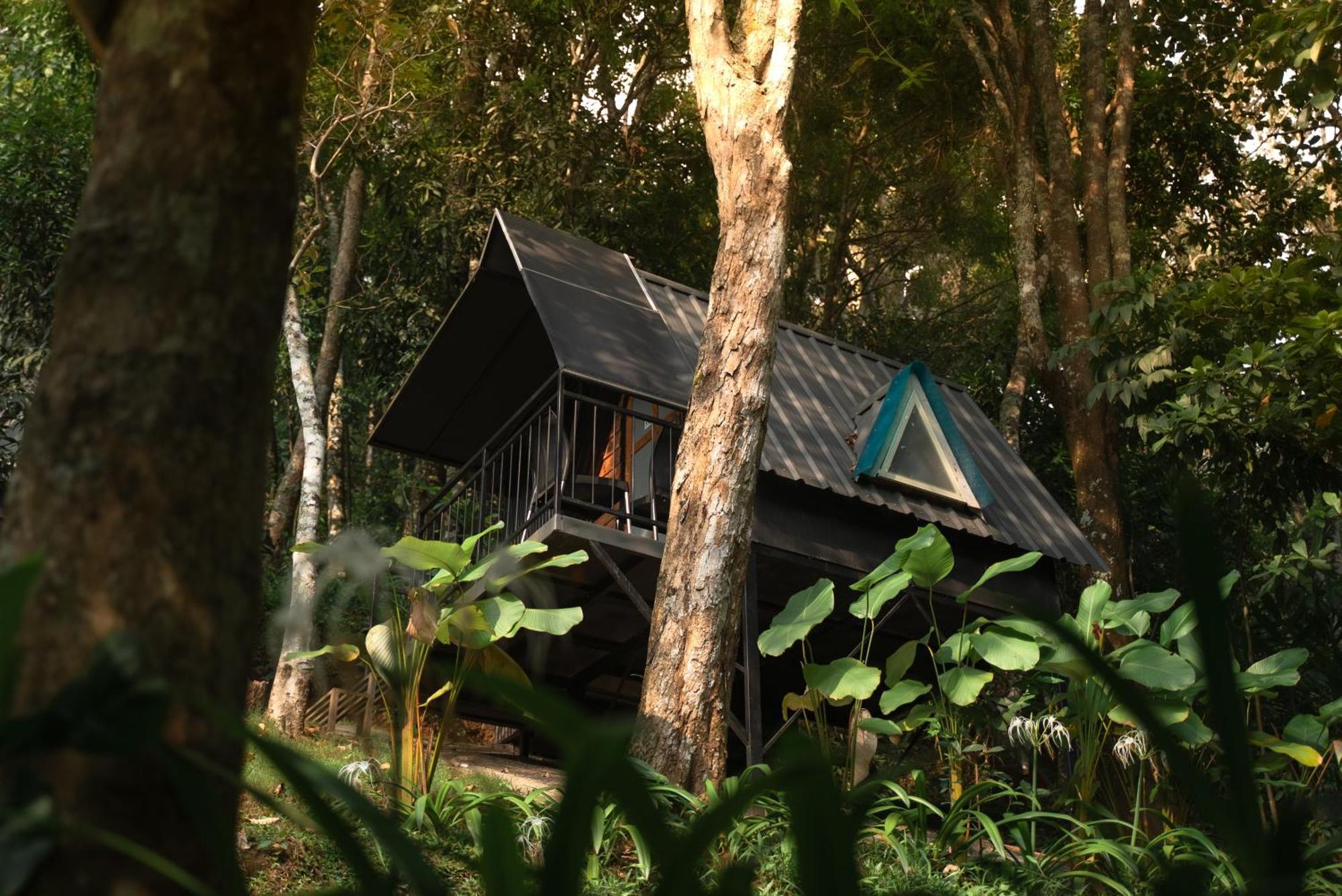 Garden Of Eden-Thottam Munnar-Hiking And Camping Anachal Exterior foto
