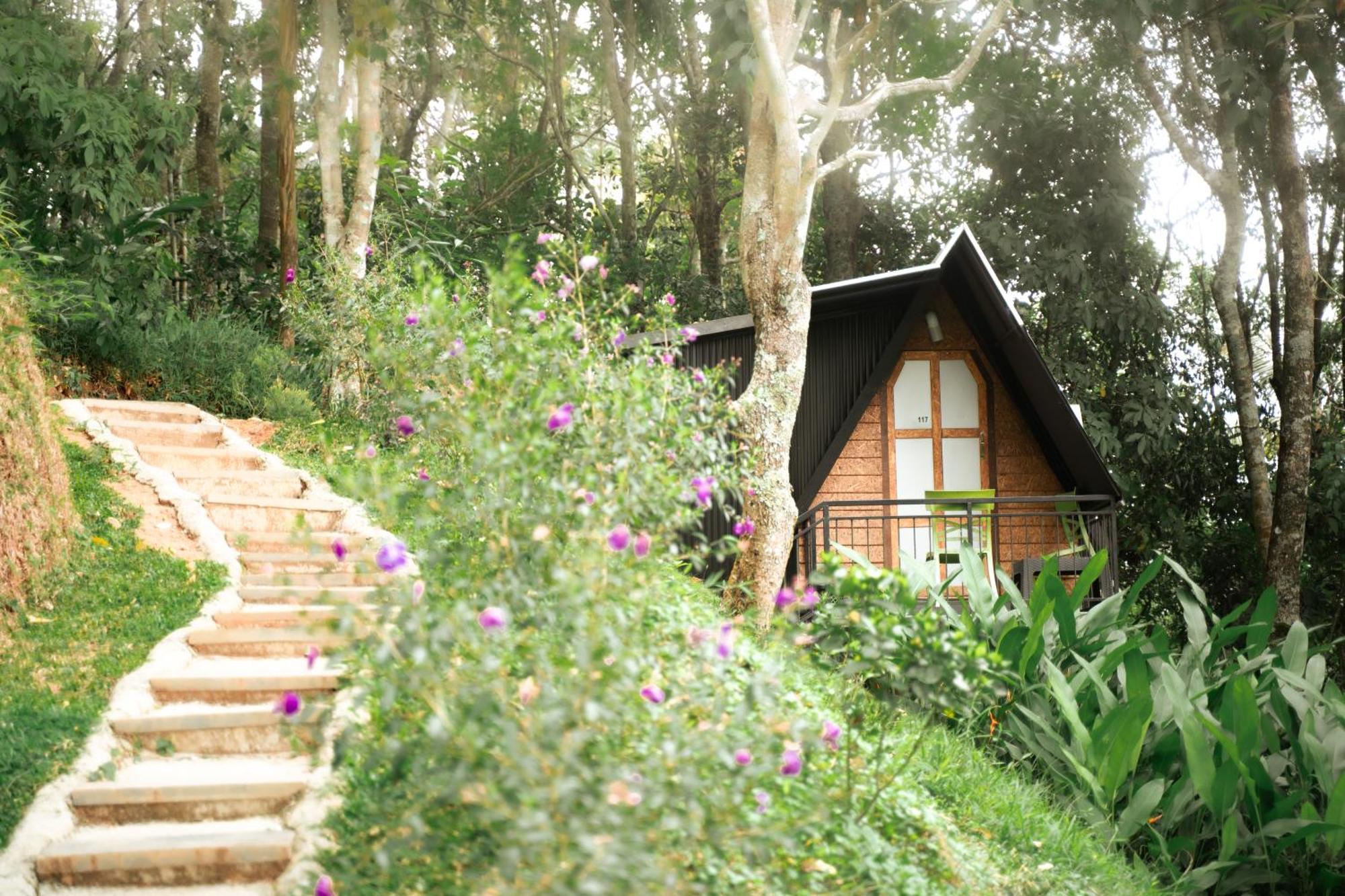 Garden Of Eden-Thottam Munnar-Hiking And Camping Anachal Exterior foto